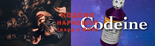 ПСИЛОЦИБИНОВЫЕ ГРИБЫ Богданович